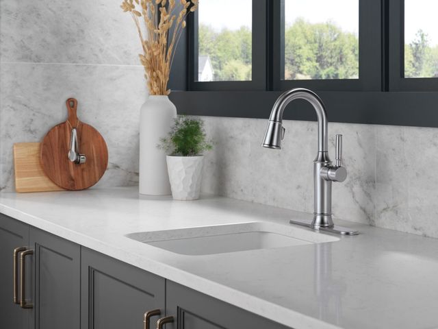 Delta Renaldi® Lumicoat® Arctic Stainless Single Handle Bar/Prep Faucet-1