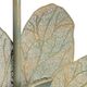 Crestview Collection Ammonite Gold Table Lamp-2