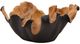 Dovetail Furniture Ilya Black/Natural Bowl-0