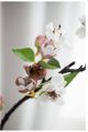 A & B Home Cream/Green Faux Apple Blossom Stem-5