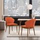 Armen Living Juno 2-Piece Orange Dining Side Chairs-4