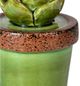 A & B Home Brown/Green 5" Ceramics Plant Decorative Object-2