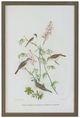 A & B Home 4-Piece Brown/Green Bird Wall Art Set-4