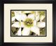 Classy Art Star of Bethlehem Triptych by Levine, A. Wall Art-0