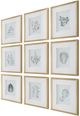 Uttermost® Nature's 9-Piece Framed Print Art Set-3