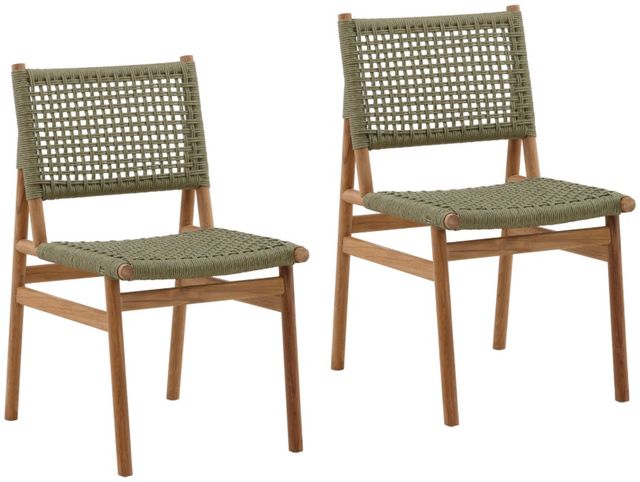 Dovetail Furniture Francisca 2-Piece Green/Natural Faux Rattan/Wooden Outdoor Dining Chair Set-0