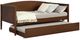 Coaster® Bozeman Medium Walnut Twin Daybed with Trundle-1
