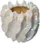 A & B Home Coral Vase-2