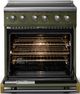 Viking® 5 Series 30" Martini Pro Style Induction Range with Brushed Brass Trim-1