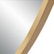 Renwil® Camona Plated Satin Brass Mirror-2