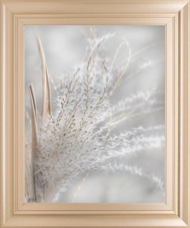 Classy Art Summer Wisps I by Irene Weisz Framed Wall Art-0