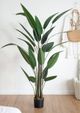 A & B Home Green 71" Birds of Paradise Tree in Pot-3