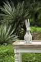 A & B Home Weathered Cement Cream 13" Rabbit Statue-3