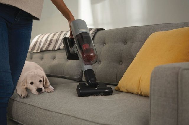 Electrolux Ultimate800™ Urban Grey Pet Stick Vacuum -3