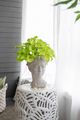 A & B Home Gray 7" Vase-5