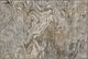 Dalyn™ Rug Company Ravenna RN8 Taupe 5'x8' Area Rug-1