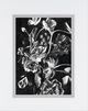 Classy Living Annie Warren Enchanted Bloom I Wall Art-1