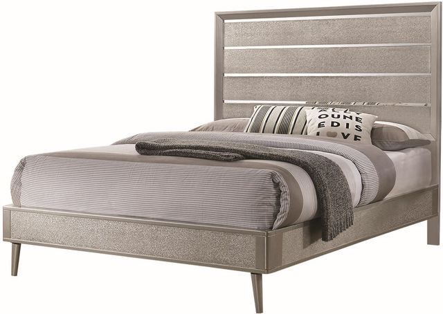 Coaster® Ramon Metallic Sterling Queen Panel Bed-0