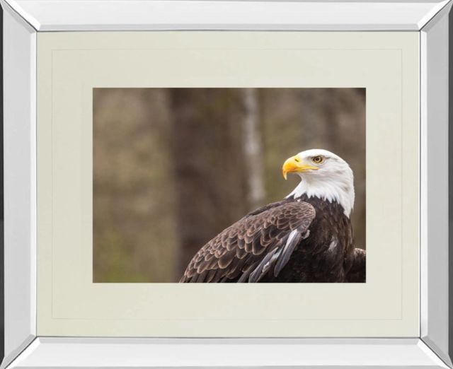 Classy Art Majestic Eagle by Garytog Mirror Framed Wall Art-0