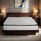 Primo™ International Fuzion Cloud Nuovo 10" Hybrid Plush Pillow Top King Mattress in a Box-1