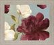 Classy Living Wine Blossom Drift Framed Wall Art-0