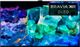 Sony® A95K 65" 4K Ultra HD OLED Smart TV-0