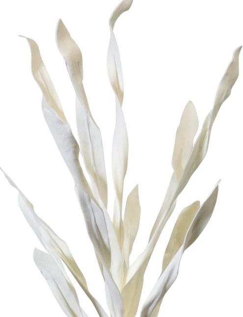 Harp & Finial® White Reed Stem White Foam Floral-1