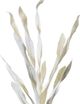 Harp & Finial® White Reed Stem White Foam Floral-1