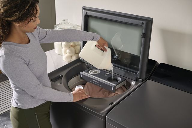 LG 7.3 Cu. Ft. Matte Black Electric Dryer-17