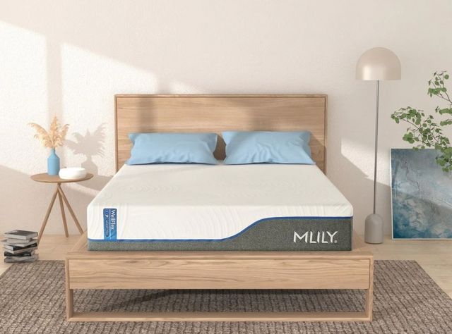 MLILY® Wellflex 1.0 Memory Foam 12" Firm Tight Top Queen Mattress in a Box-6