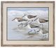Stylecraft Sandpipers II Light Blue/Taupe/White Wall Art-0