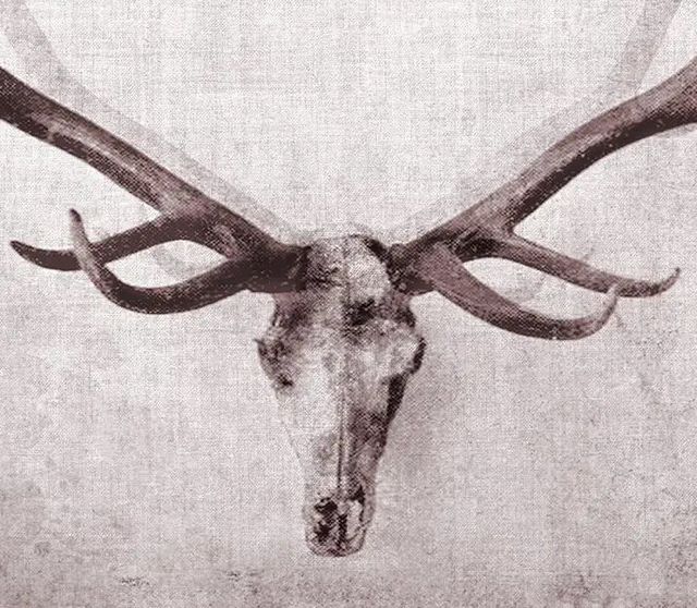 Classy Art Open Range I by John Butler Wall Art-1