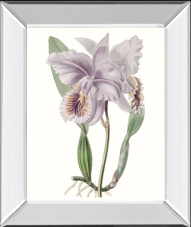 Classy Art Lavender Beauties II by Edwards Mirror Framed Wall Art-0
