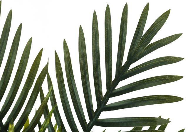 Monarch Specialties Inc. Green/Black 20" Artificial Potted Palm-2