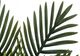 Monarch Specialties Inc. Green/Black 20" Artificial Potted Palm-2