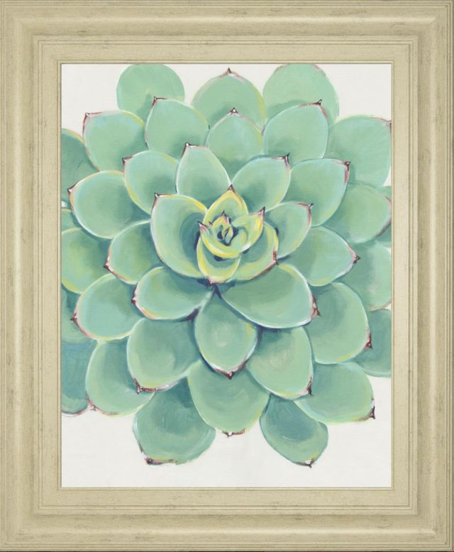 Classy Living Tim OToole Pastel Succulent III Wall Art-0