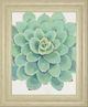 Classy Living Tim OToole Pastel Succulent III Wall Art-0