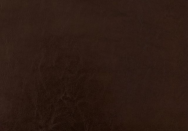 Monarch Specialties Inc. Dark Brown Faux Leather Full Bed-2