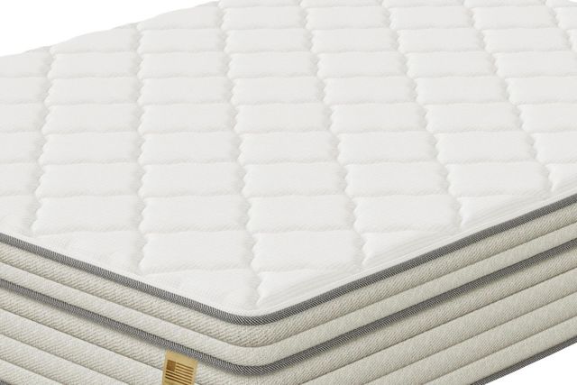 Eclipse® Bedding Industries of America Ohio Wrapped Coil Medium Plush Pillow Top Twin Mattress in a Box-3