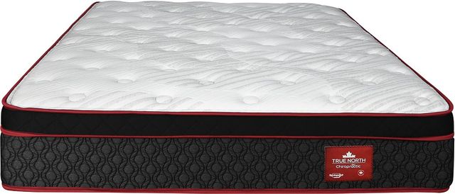 Springwall® True North Chiropractic® Frontenac 12.5" Wrapped Coil Plush Euro Top Full Mattress-3