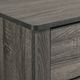 Elements International Sami Gray Youth Chest-4