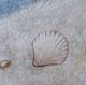 Stylecraft Seaside 4-Piece Blue/Light Blue/Light Gray/Light Orange Wall Art Set-5