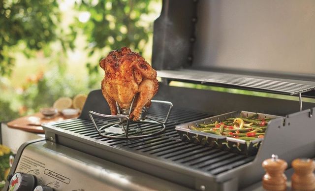 Weber® Poultry Roaster-1