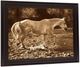 Classy Living Sepia River Stroll Wall Art-2