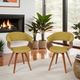 Armen Living Summer Green/Walnut Dining Arm Chair-1