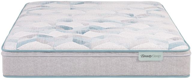 Beautysleep® Dream Weaver™ 12.25" Pocketed Coil Medium Euro Top Twin XL Mattress-2