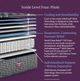 Beautyrest® World Class™ Level Four 15.25" Pocketed Coil Plush Tight Top Twin Mattress-3