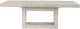 Steve Silver Co. Garland Greige Dining Table-3