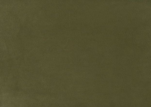 Furniture of America® Finamore Olive Green Queen Panel Bed-3