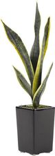D&W Silks Artificial Green/Yellow Mother-In-Law’s Tongue 20"-0